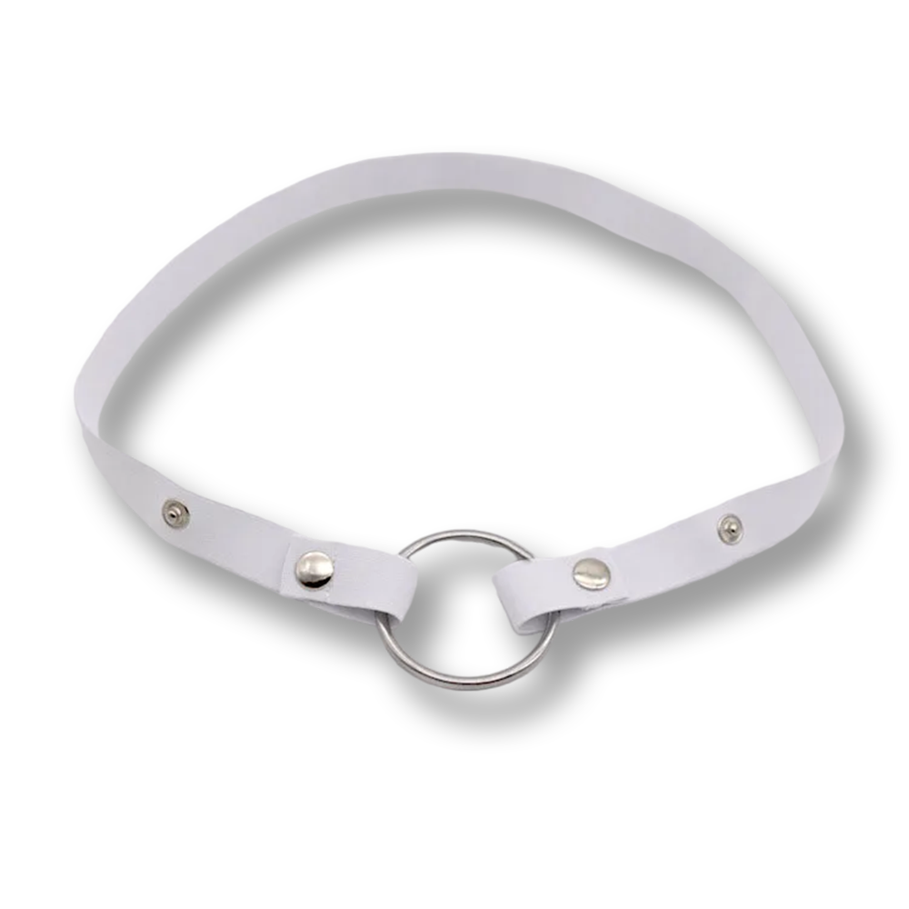Pack rentrée Premium – Cage de chasteté Plastique+ Ceinture + 2 eBooks offerts