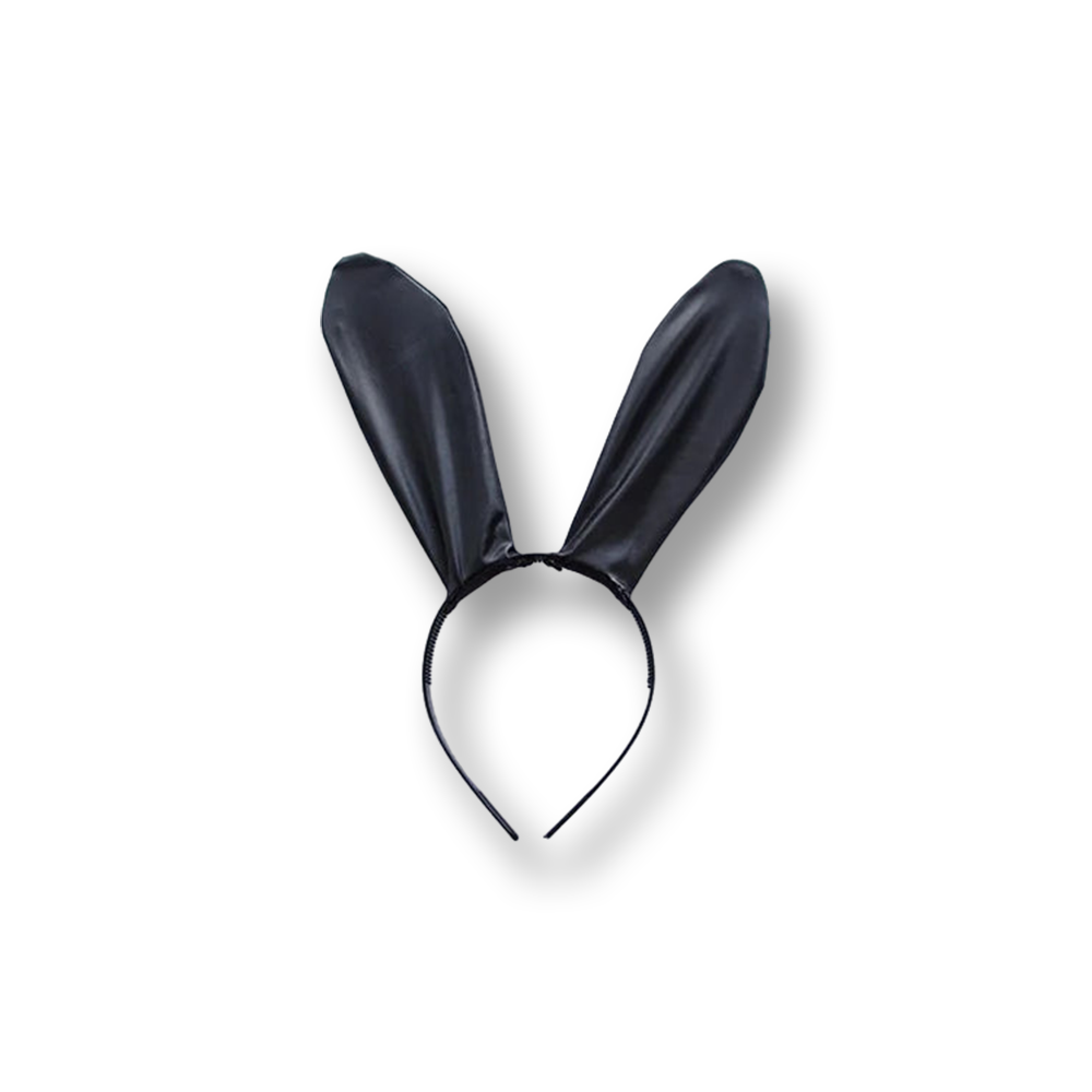 Cosplay sexy | Bunny Girl | SissyShop