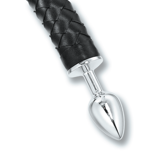 Plug anal queue - Succube