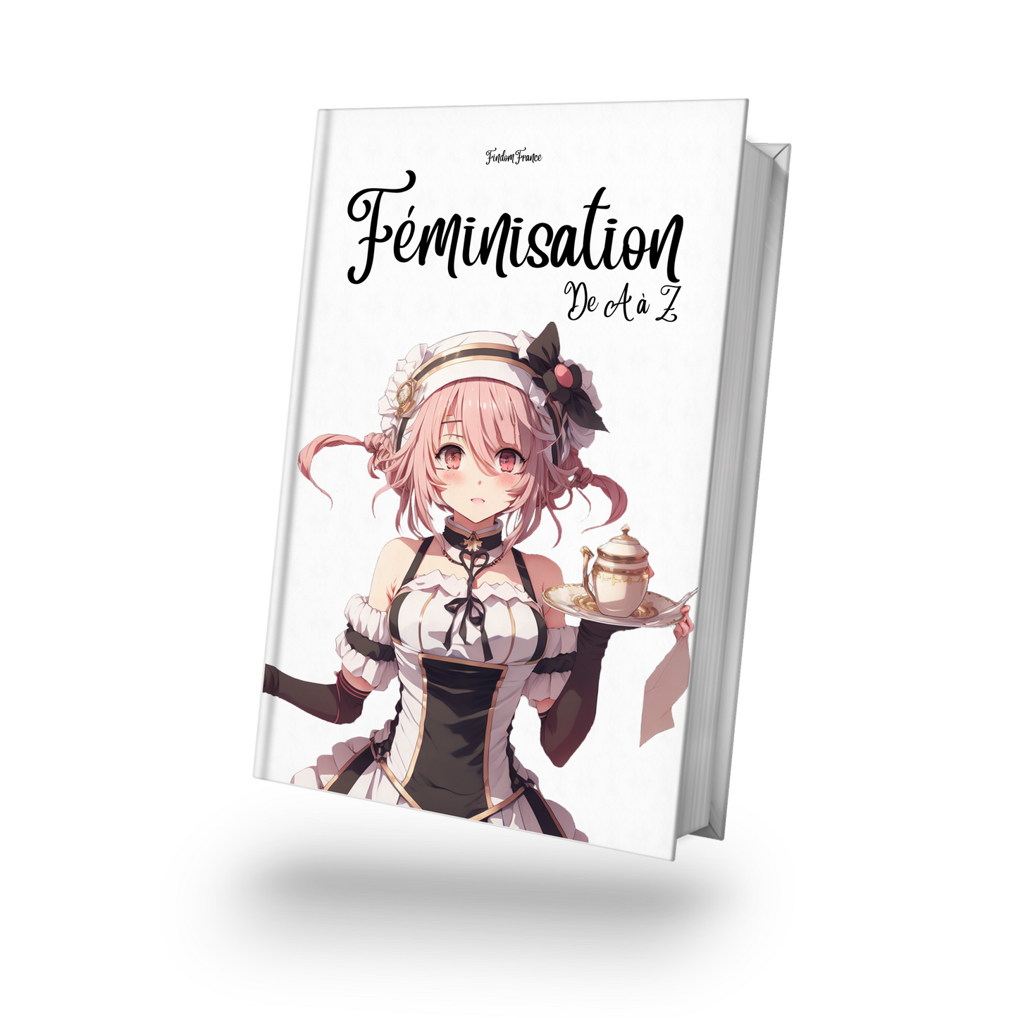 Pack Travestissement - 2 eBooks