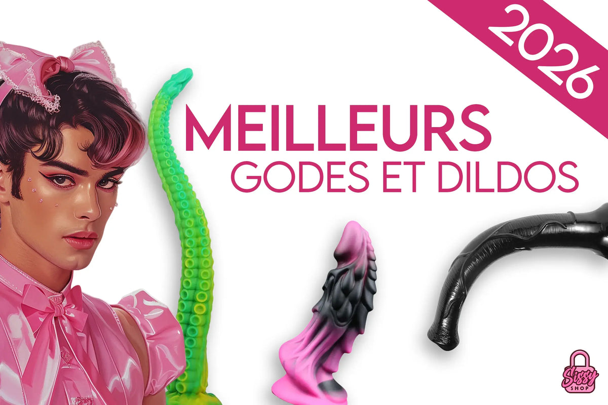 visuel principal de l'article de blog du sissyshop meilleurs godes et dildos de 2026