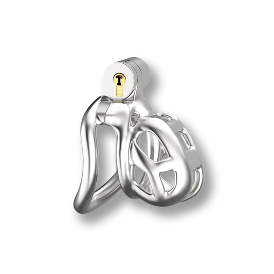 Cage de chasteté métal python - Anneau ARC