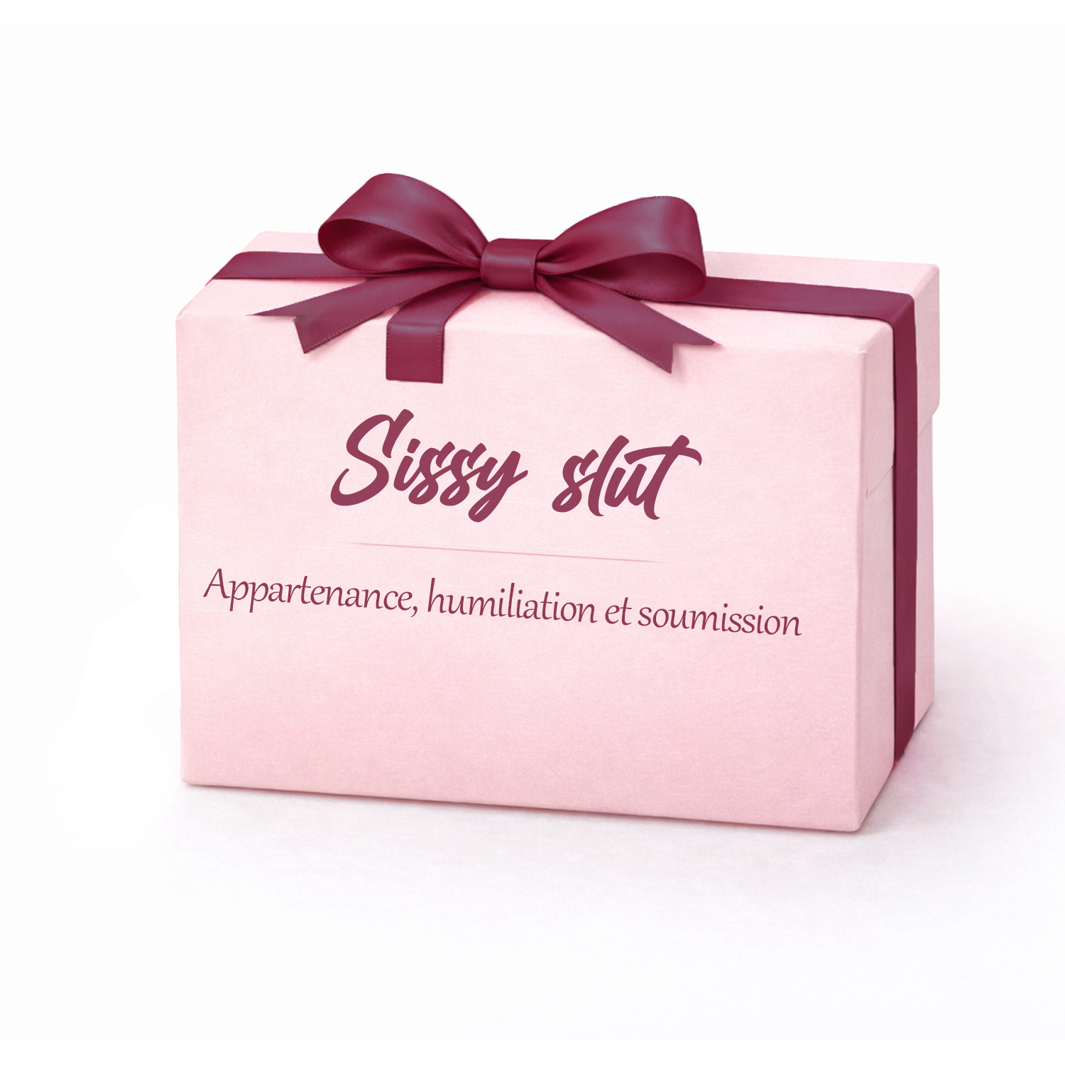 Pack sissy slut – appartenance, humiliation et soumission