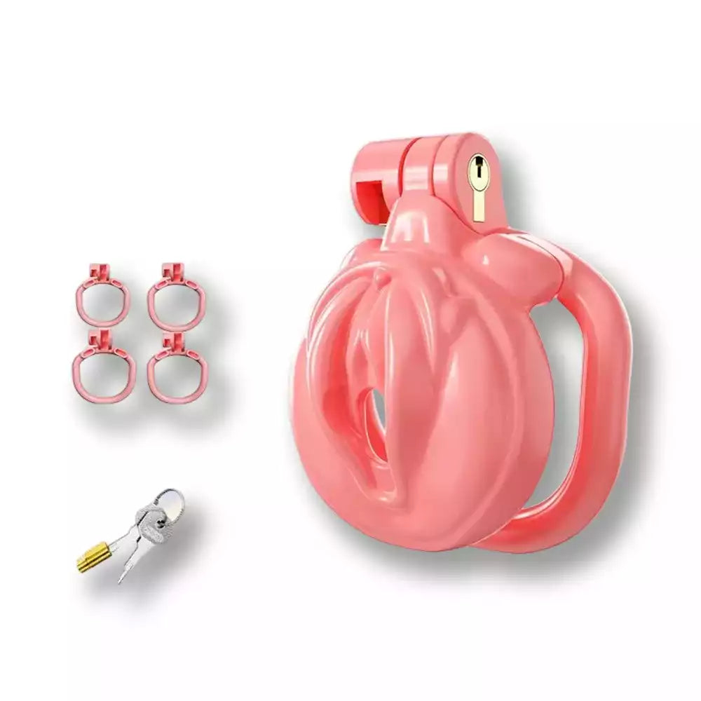 Kit complet incluant la cage de chasteté plate rose Sissy Pussy, ses clés sécurisées et 4 anneaux interchangeables pour une expérience de chasteté stricte sur sissyshop.