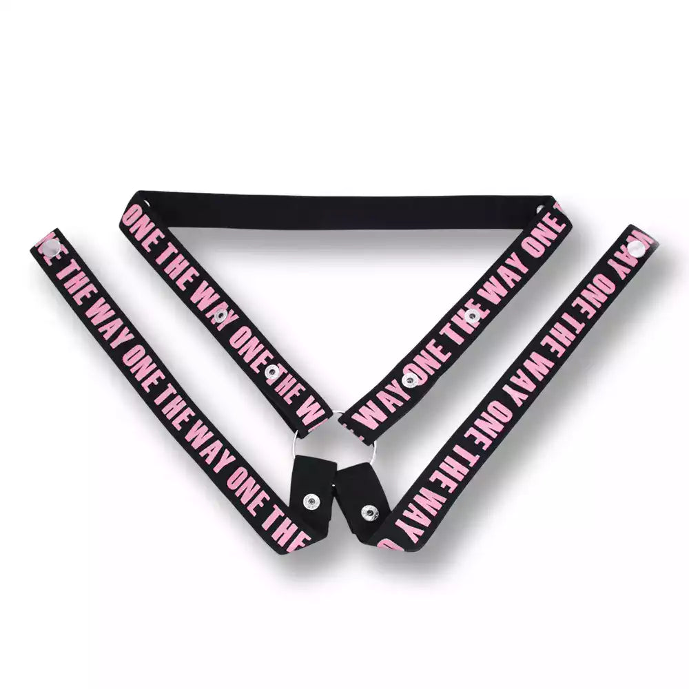 Présentation de la ceinture de chasteté rose The Way One en version quadruple maintien renforcé, conçue pour une retenue absolue et une féminisation sans compromis sur sissyshop.
