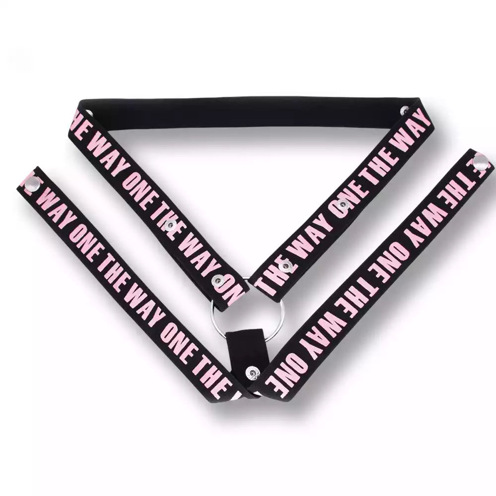 Vue à plat de la ceinture de chasteté élastique The Way One en version triple maintien avec anneau métallique, idéale pour bloquer une cage de chasteté lors de votre sissification sur sissyshop.