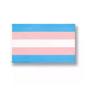 Vue complète à plat du drapeau trans aux bandes horizontales bleu ciel, rose pastel et blanche, le drapeau lgbtqia+ parfait à retrouver sur la boutique sissyshop.