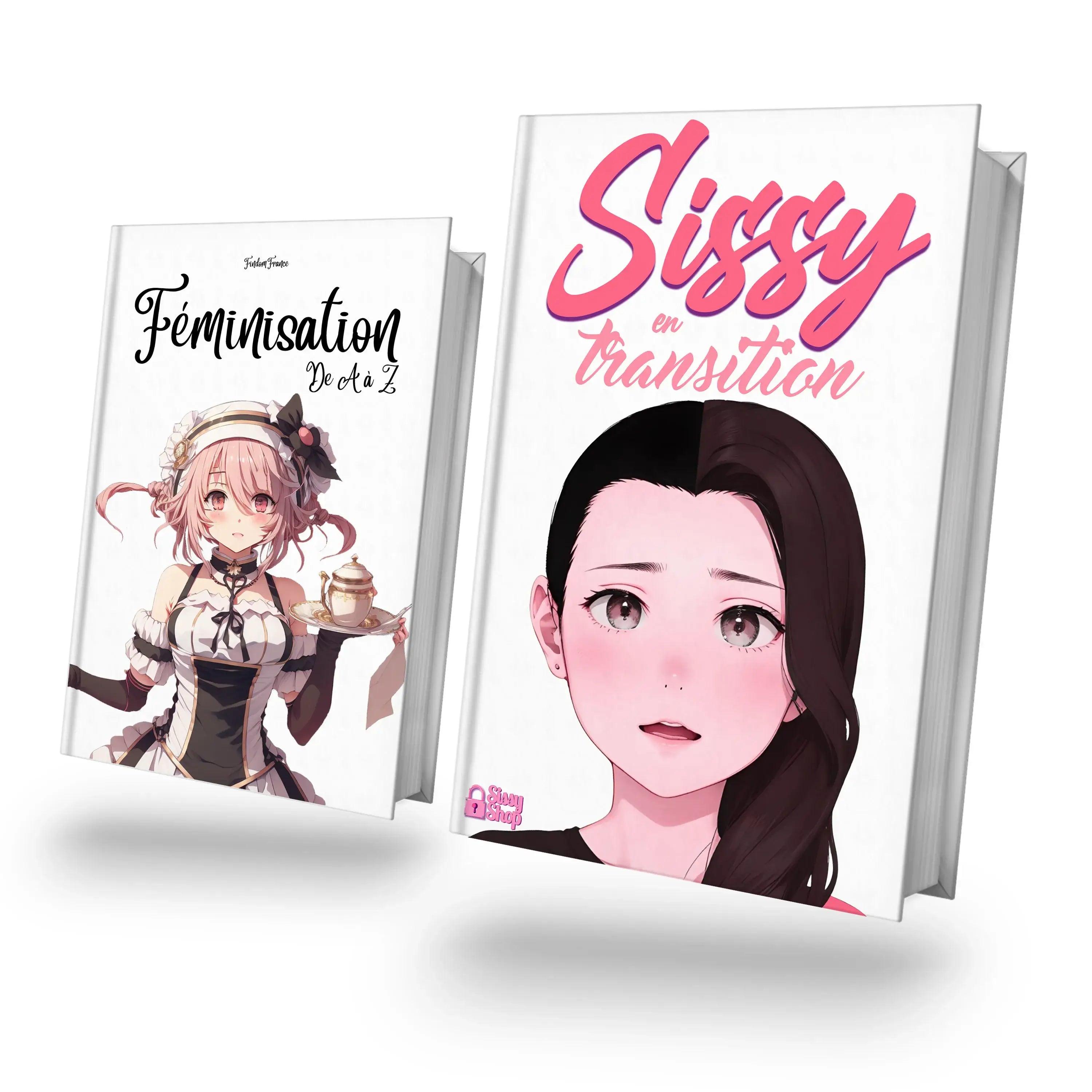 visuel du pack sur le sissyshop, pack travestissement on y voit la couverture des deux ebooks 