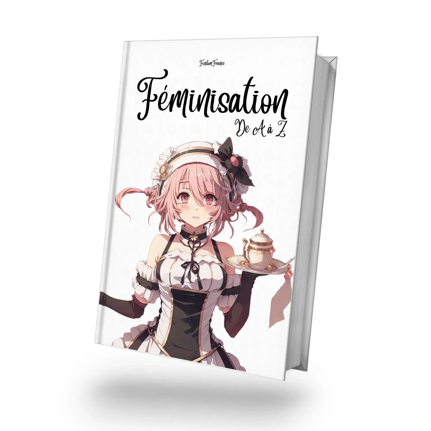 visuel du livre du sissyshop, féminisation de A à Z, un ebook pour apprendre la sissyfication
